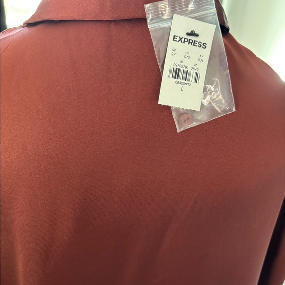 Express Satin Button-Up Blouse in Deep Rust - Picture 7 of 7